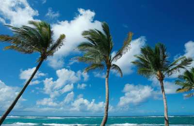 SATURDAY WEATHER: Clearer but with strong winds and gusts over 90km/h