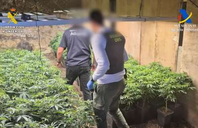 VIDEO: Police raid large Cannabis farm in south Tenerife 