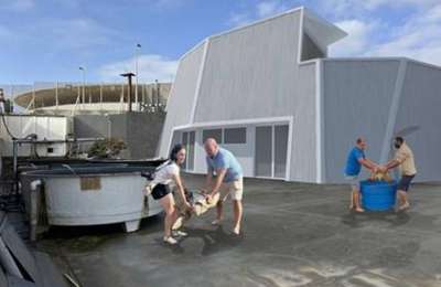 New marine rescue centre planned for Gran Canaria