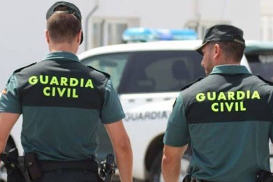 Two arrested over robberies in South Tenerife