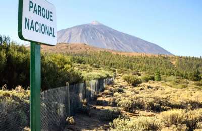New episode of low-frequency seismic activity recorded near Mount Teide