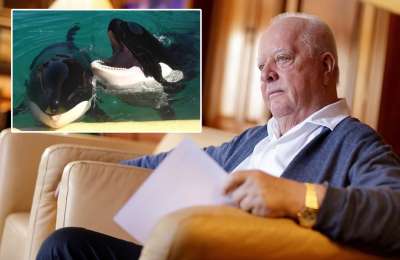 Loro Parque ready to rescue French Orcas but awaits approval from Spanish Government 