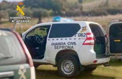 Man investigated for beating four dogs to death in Gran Canaria