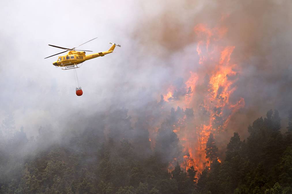 Pre-alert activated for forest fires in Tenerife and Gran Canaria