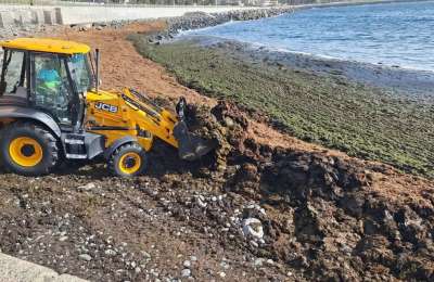 Over 100,000 kilos of seaweed cleared from beaches in Gran Canaria this week