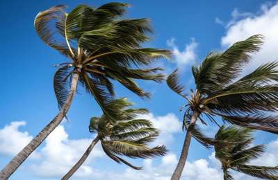 SATURDAY WEATHER: Sunny but windy in the Canary Islands 