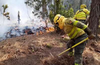 Canary Islands launch 2026 wildfire campaign with 2,600 emergency personnel