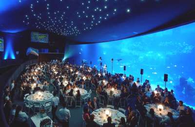 More than 400 guests attend Ocean Conservation Gala at Poema del Mar