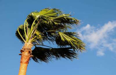 TUESDAY WEATHER: High temperatures with strong winds in the Canary Islands 