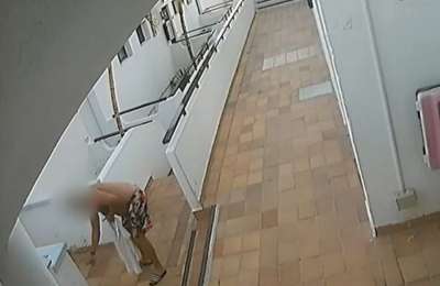 16-month jail sentence for man who beat cat to death in Puerto Rico