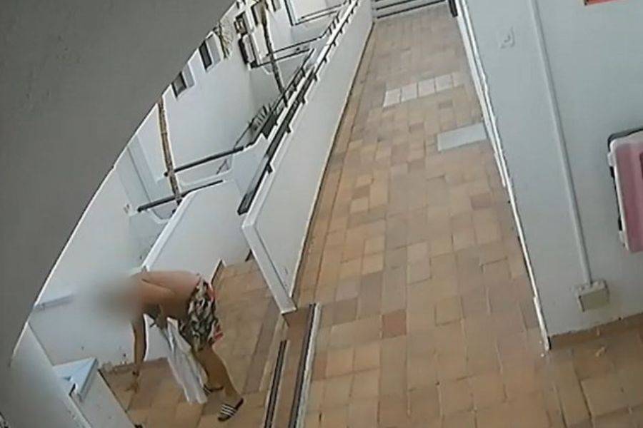 16-month jail sentence for man who beat cat to death in Puerto Rico