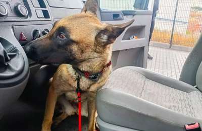 Arrested in Gran Canaria with 72 grams of cocaine hidden in his car