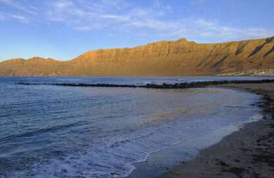 Dead shark found on the coast of Lanzarote