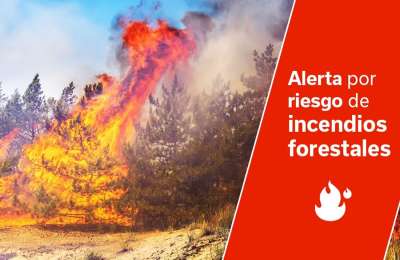 Canary Islands Government issues wildfire alert due to extreme heat and weather conditions