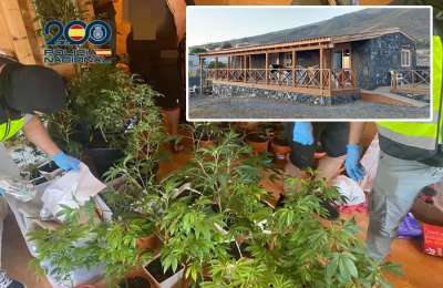 Adeje resident powerless to have home back after squatters turn it into cannabis farm