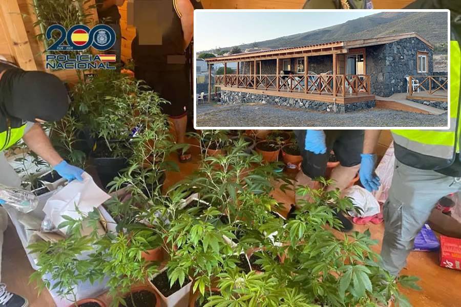 Adeje resident powerless to have home back after squatters turn it into cannabis farm