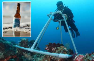 Ocean Beer announce winner of their Grant competition to Boost Marine Conservation in the Canaries