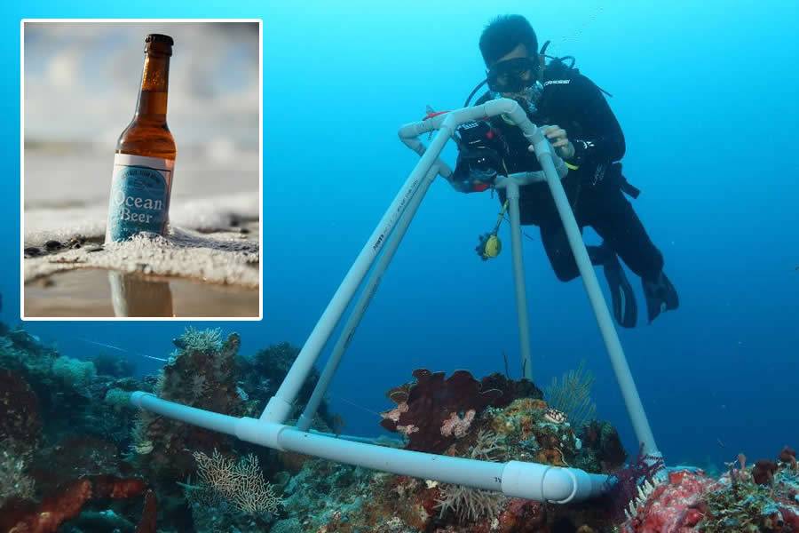 Ocean Beer announce winner of their Grant competition to Boost Marine Conservation in the Canaries