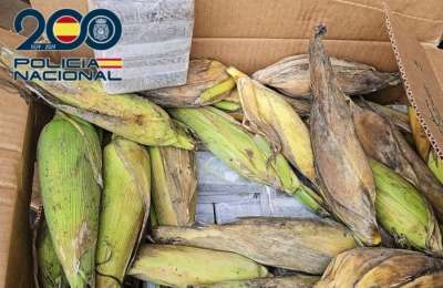 350kg of hashish found hidden in vegetable shipment in Gran Canaria