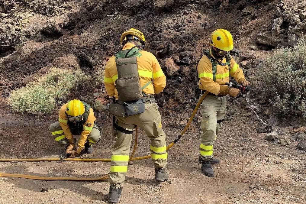 Small forest fire quickly brought under control in Tenerife