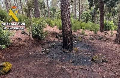 Prison for arsonist who tried to start a forest fire in Tenerife