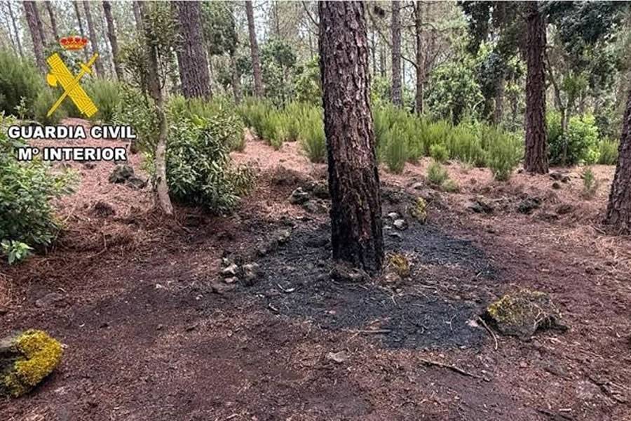 Prison for arsonist who tried to start a forest fire in Tenerife