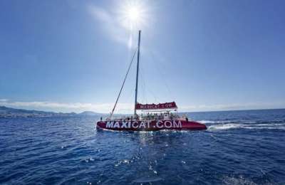 Excursion company in Costa Adeje faces investigation
