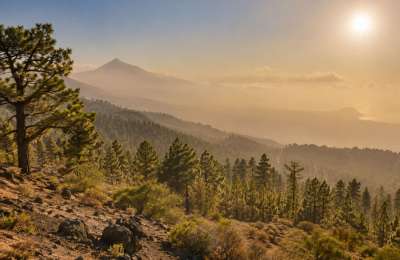 Wildfire alert extended across five Canary Islands as temperatures soar