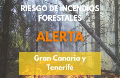 Wildfire alert activated in Tenerife and Gran Canaria 