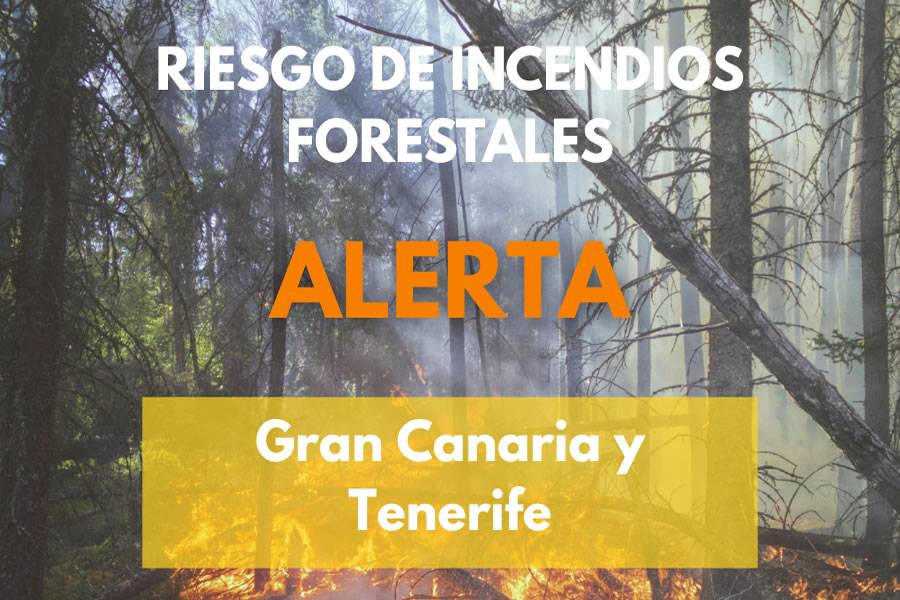 Wildfire alert activated in Tenerife and Gran Canaria 