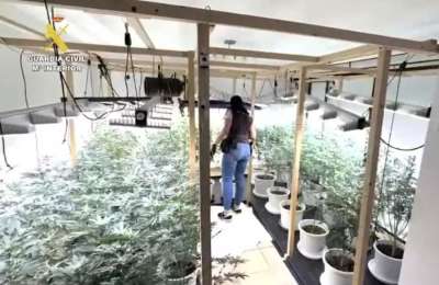 Two arrested after police raid cannabis farm in Tenerife