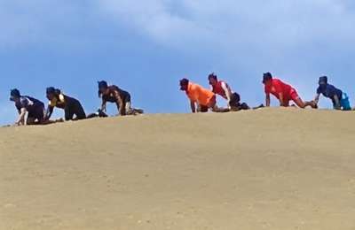 Organiser faces fine over ‘puppy’ parade in Maspalomas dunes 