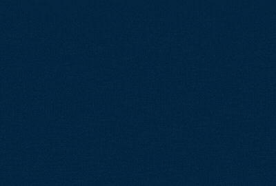 Blevins Franks Blevins Franks